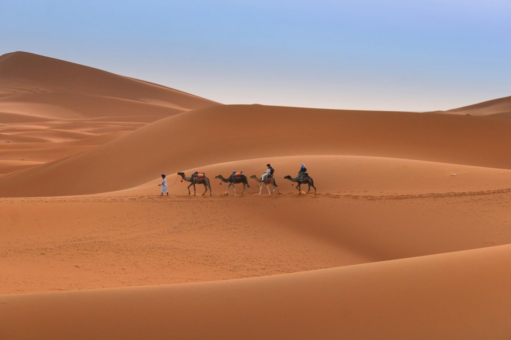 Excursión en camello al amanecer en Merzouga 1 Excursión en camello al amanecer en Merzouga