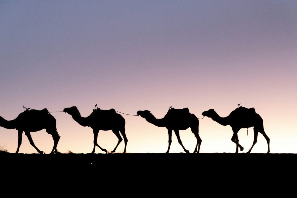 3 Noches de Caminata en Camello en Merzouga