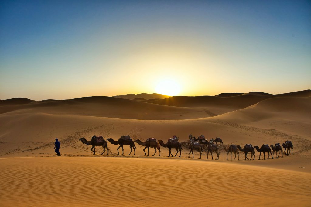 Excursión en camello al atardecer en Merzouga 1 Excursión en camello al atardecer en Merzouga