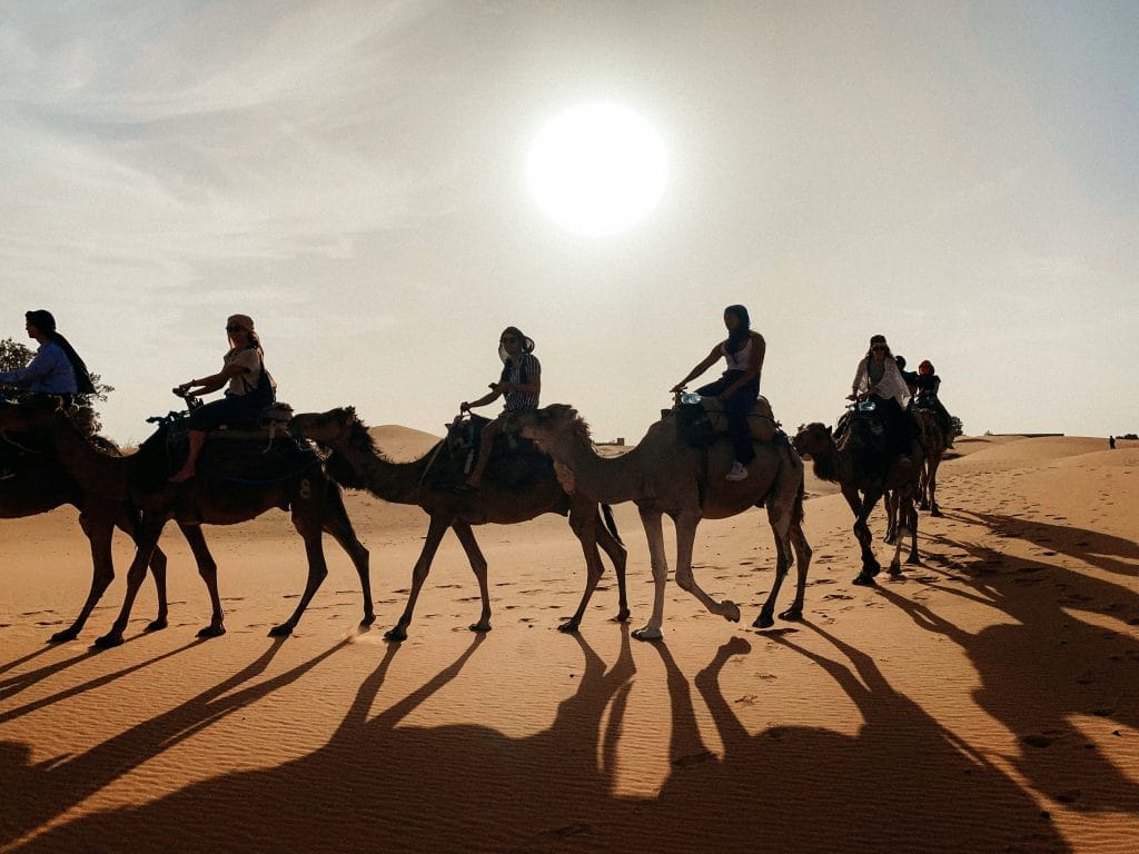 1 Noche de Caminata en Camello en Merzouga