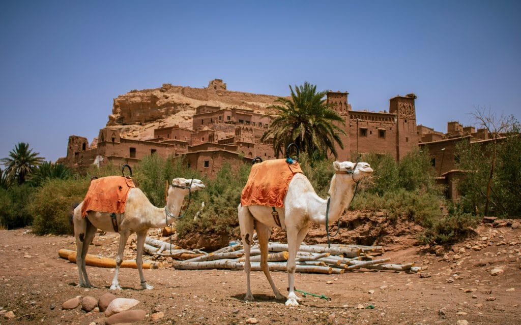 Excursión de un día desde Marrakech a Ait Ben Haddou
